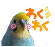 762520290