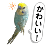 762520294