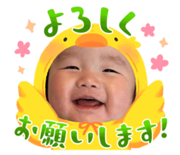 762520338