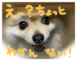 762524015