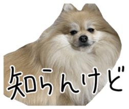 762524017