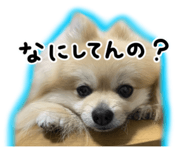 762524022