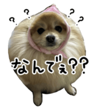 762524024