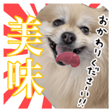 762524031