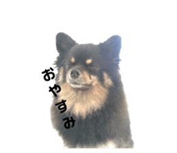 762537673