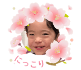 762541916