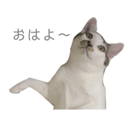 762548311