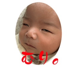 762548536