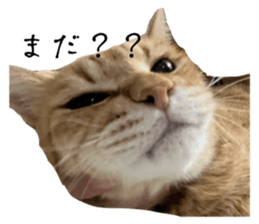 762548684