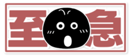762566984