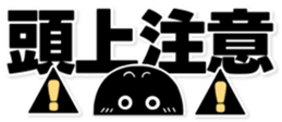 762566996