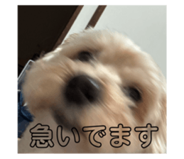762567371