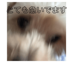 762567372