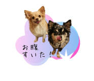 762578145