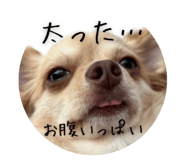 762578160