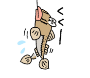 762578340
