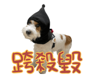 762581745