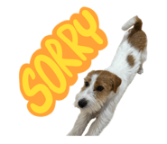 762581746