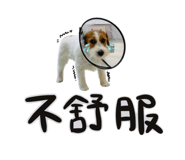 762581751