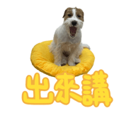 762581773