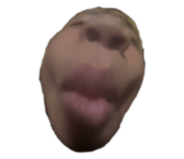 762581977