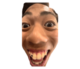 762581981