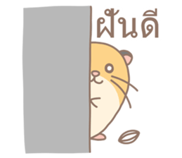 7626019