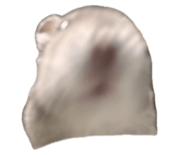 762604096