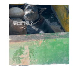 762605802