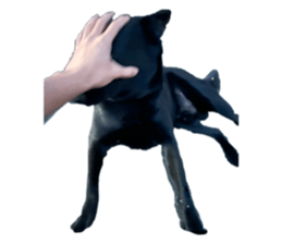 762605803