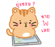 762606142