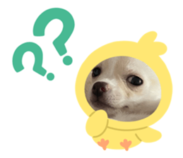 762609950
