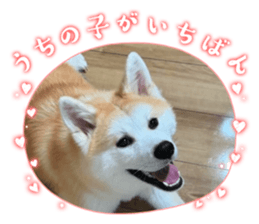 762610483