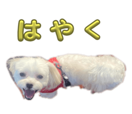 762610925