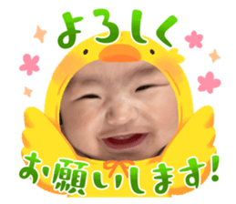 762612022