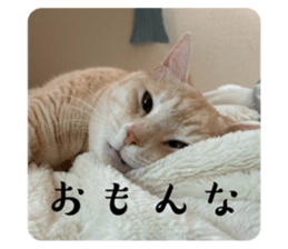 762613371