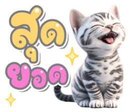 ลายที่ 25