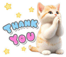 ลายที่ 31