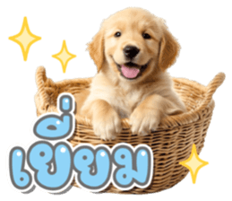 ลายที่ 33