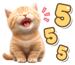 ลายที่ 37