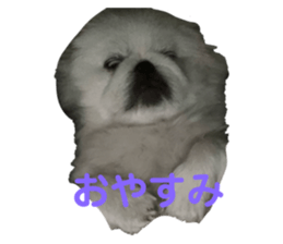 762614589