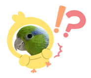 762619719