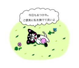 762620636
