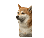 762621601