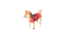 762621602