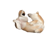 762621604