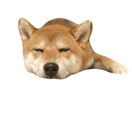 762621605