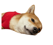 762621608