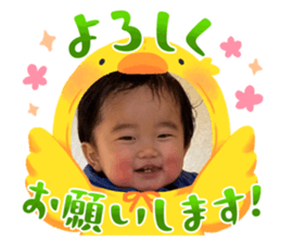 762624530