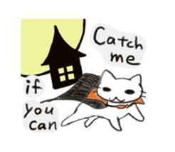 7626255